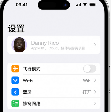 大厂appleID维修服务iPhone设置中Apple ID显示为灰色无法使用