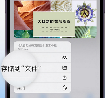 大厂apple维修中心分享iPhone文件应用中存储和找到下载文件