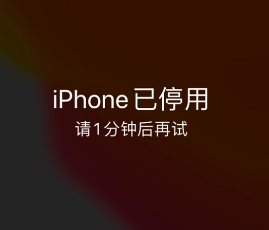 大厂苹果手机维修分享:iPhone 显示“不可用”或“已停用”怎么办？还能保留数据吗？ 