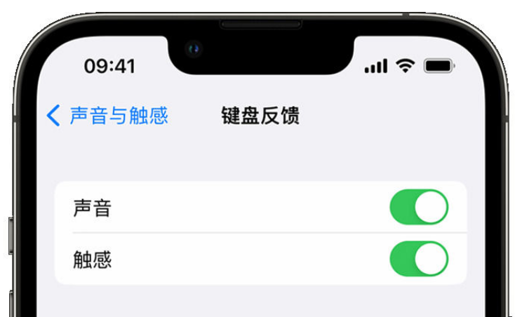 大厂苹果手机维修分享iPhone 14触感键盘使用方法 