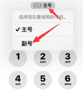 大厂苹果14维修店分享iPhone 14 Pro Max使用副卡打电话的方法 