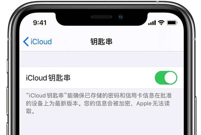 大厂苹果手机维修分享在 iPhone 上开启 iCloud 钥匙串之后会储存哪些信息 