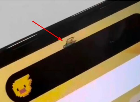 大厂苹果14维修分享iPhone 14 Pro Max灵动岛怎么养宠物 