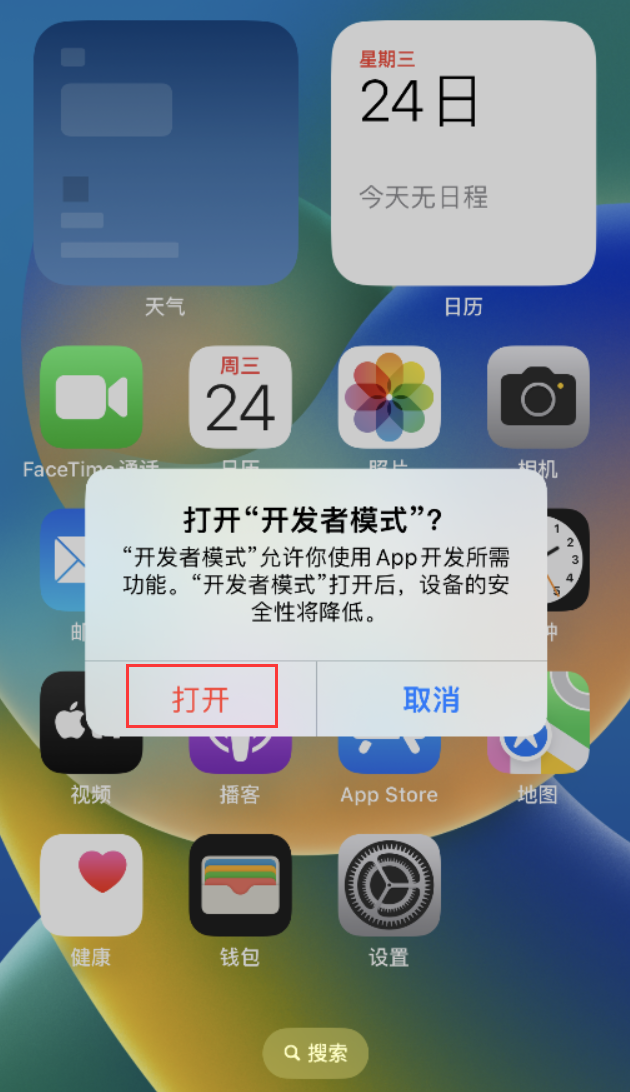 大厂苹果手机维修分享如何打开开发者模式 