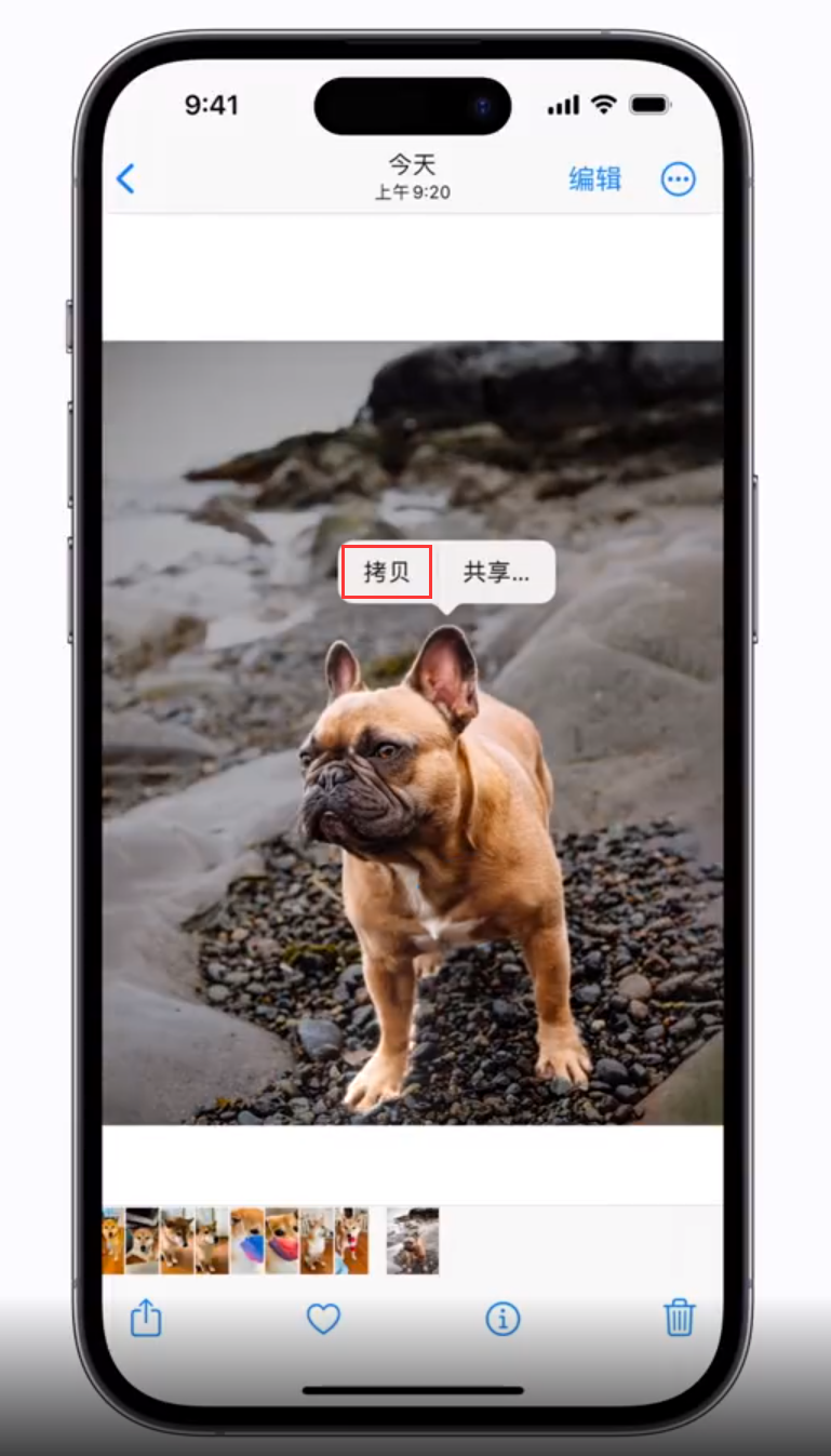 大厂苹果手机维修分享 iOS 16 自带一键抠图功能 
