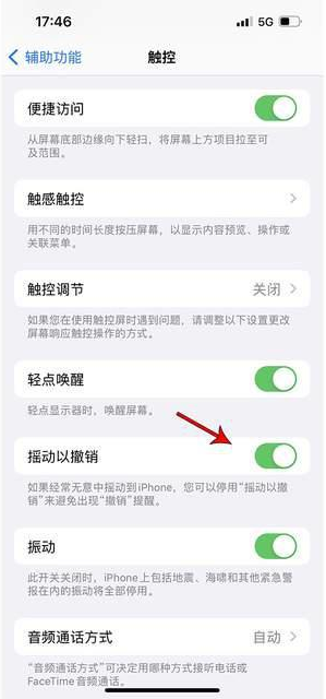 大厂苹果手机维修分享iPhone手机如何设置摇一摇删除文字 