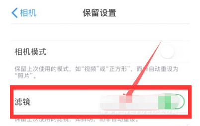 大厂苹果13维修分享iPhone13拍照有绿点是怎么回事 