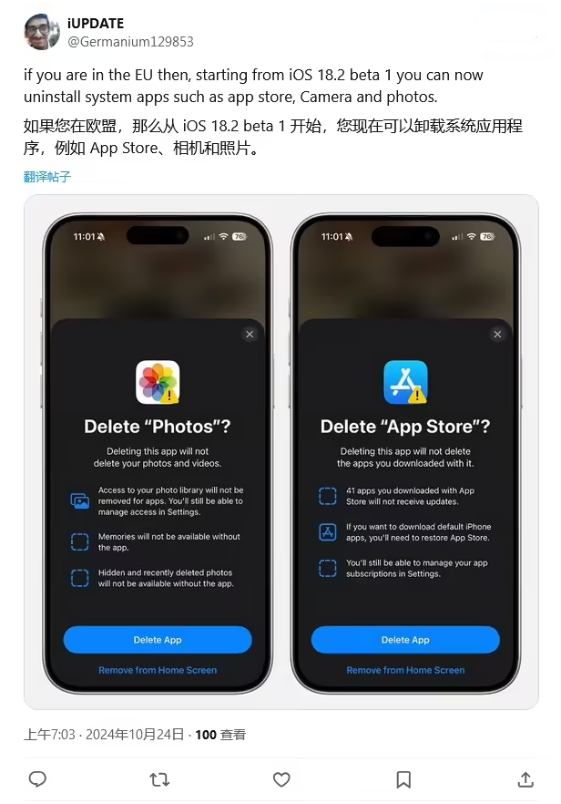 大厂苹果手机维修分享iOS 18.2 支持删除 App Store 应用商店 