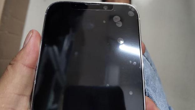 大厂苹果手机维修分享iPhone 13‌机模长什么样 