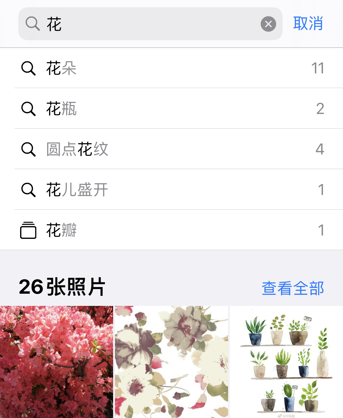 大厂苹果手机维修分享iPhone 小技巧 