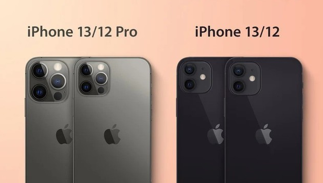 大厂苹果手机维修分享iPhone 13 摄像头长什么样 