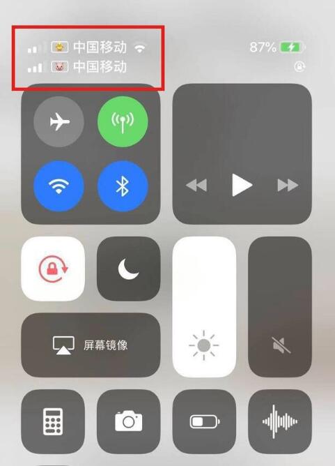 大厂苹果手机维修分享为 iPhone 12 双卡设置标签 