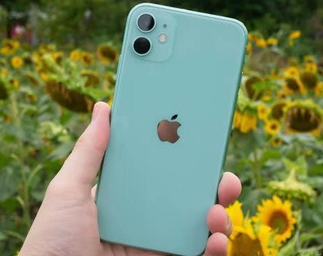 大厂苹果维修点分享iPhone 11锁屏密码认知与使用科普 