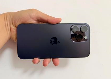 大厂苹果维修点分享iPhone 14 Pro Max黑屏少见故障盘点 